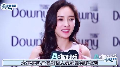 明星瘾乱网站,娱乐圈背后的隐秘角落