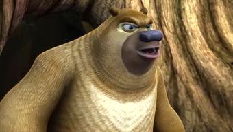 熊出没卡片最新爆料视频,神秘卡片揭示隐藏秘密，探险之旅即将开启！