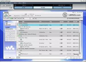 日本mg网站,文化、艺术与生活融合之旅